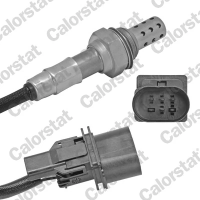Oxygen Sensor
